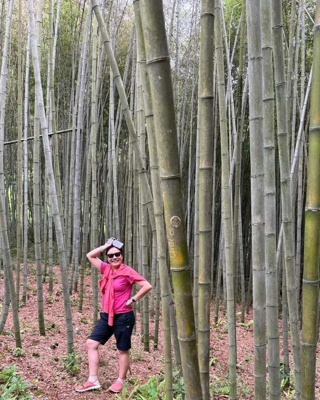 A traveller smiling inside a dense bamboo forest in Ha Giang