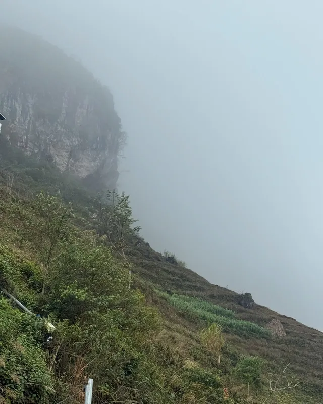 Two young Hmong girls in flowered headscarves holding bouquets, standing with a traveller on a misty mountain road