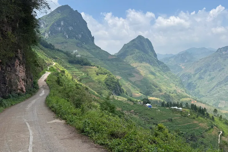 A single-track road winding along a cliffside above terraced fields on the Ha Giang Loop
