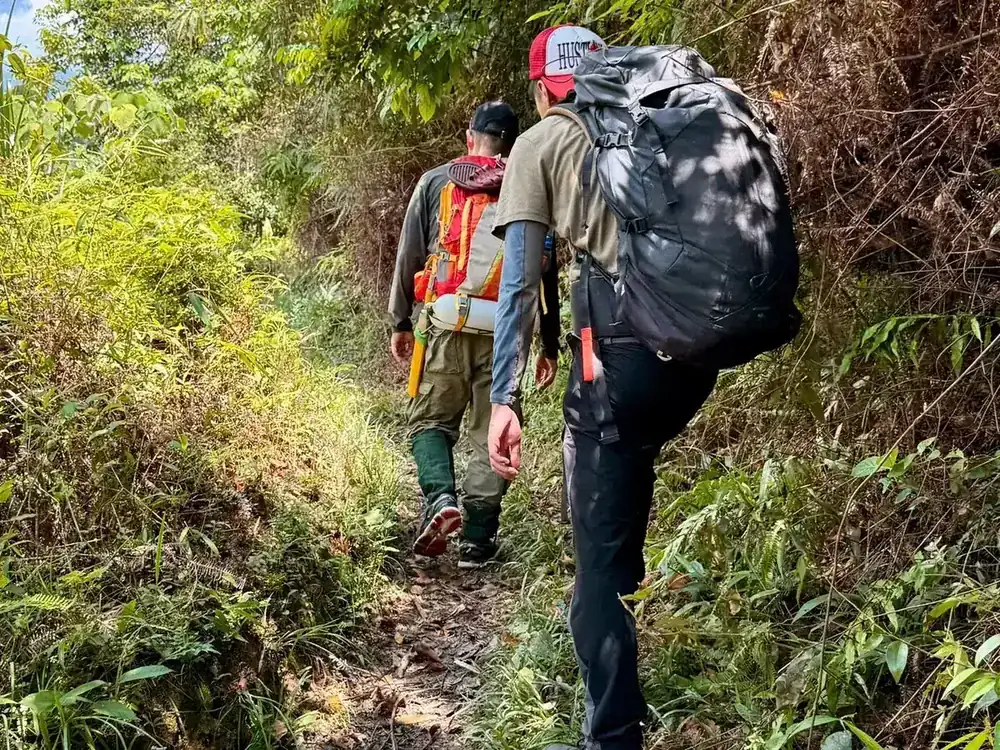 Two trekkers with packs climbing a narrow overgrown forest trail in the hills of Ha Giang